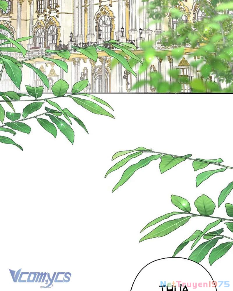 Các Nam Chính Đã Bị Nữ Phụ Cướp Mất Chapter 45 - 42