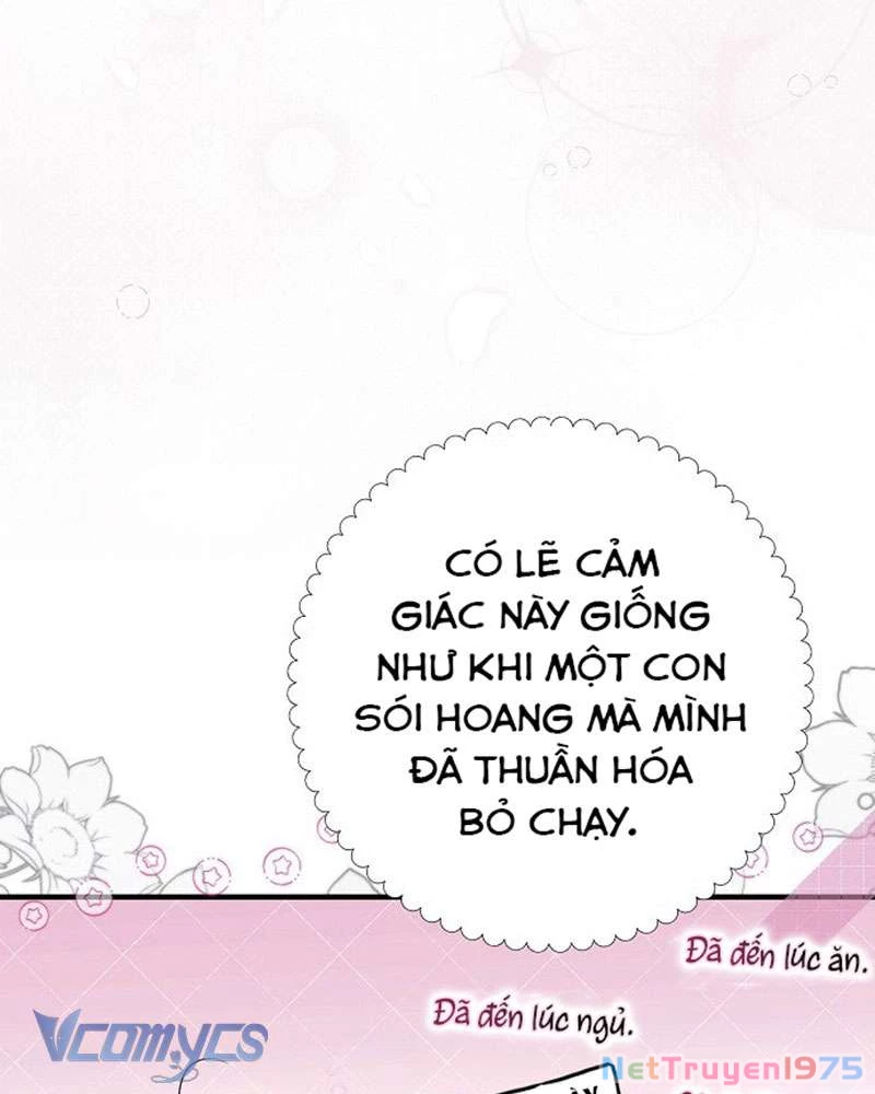 Các Nam Chính Đã Bị Nữ Phụ Cướp Mất Chapter 45 - 66