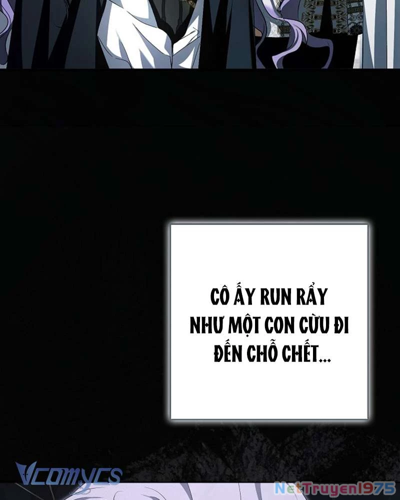 Các Nam Chính Đã Bị Nữ Phụ Cướp Mất Chapter 46 - 16