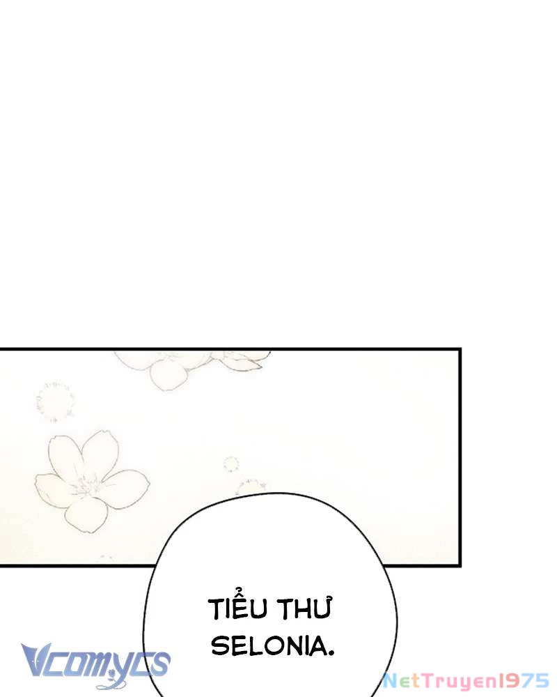 Các Nam Chính Đã Bị Nữ Phụ Cướp Mất Chapter 46 - 77