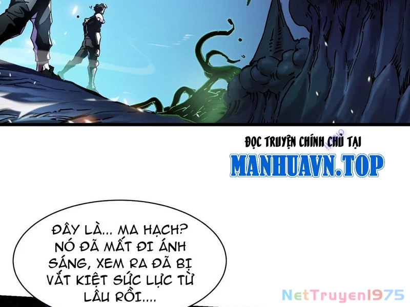 Cao Võ Tiến Hóa: Bắt Đầu Thức Tỉnh Quái Thú Chi Vương Chapter 15 - 73