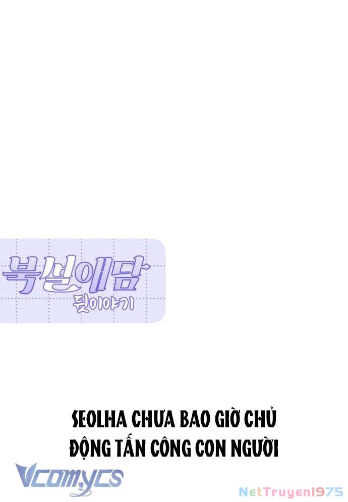Chuyện Tình Tuyết Phương Bắc Chapter 40 - 64