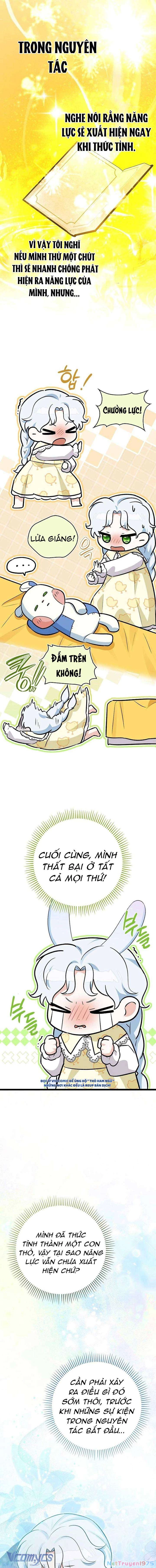 Thỏ Á? Rõ Ràng Là Mãnh Thú Cơ Mà! Chapter 9 - 7