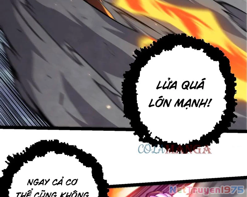 Chuyển Sinh Thành Liễu Đột Biến Chapter 366 - Trang 2