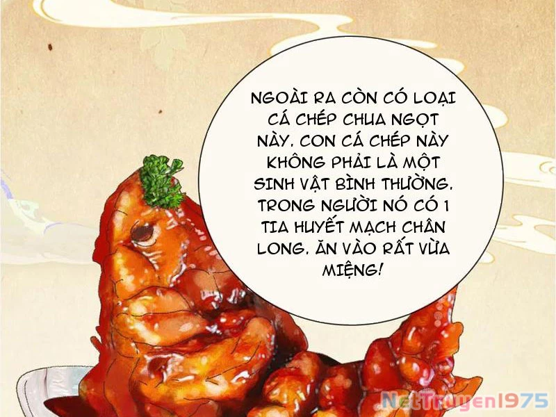 Gặp Mạnh Thì Mạnh, Ta Tu Vi Vô Thượng Hạn Chapter 41 - 19
