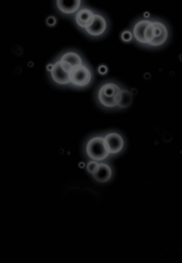 Cô dâu cực phẩm Chapter 70 - 33