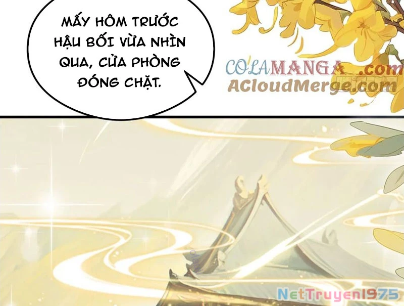 Hoá Ra Ta Đã Vô Địch Từ Lâu Chapter 287 - 64