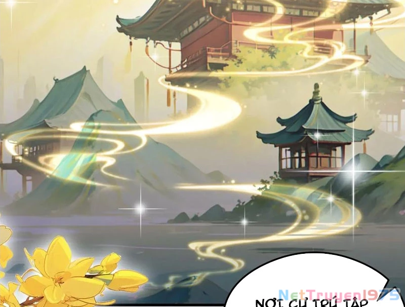 Hoá Ra Ta Đã Vô Địch Từ Lâu Chapter 287 - 65