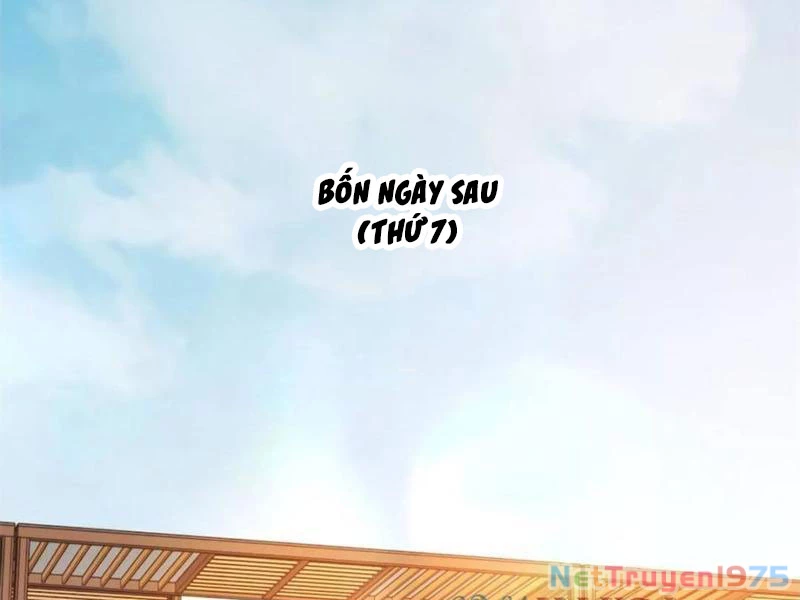 Trọng Sinh Không Làm Chạn Vương, Tôi Một Mình Nạp Game Thăng Cấp Chapter 222 - 92
