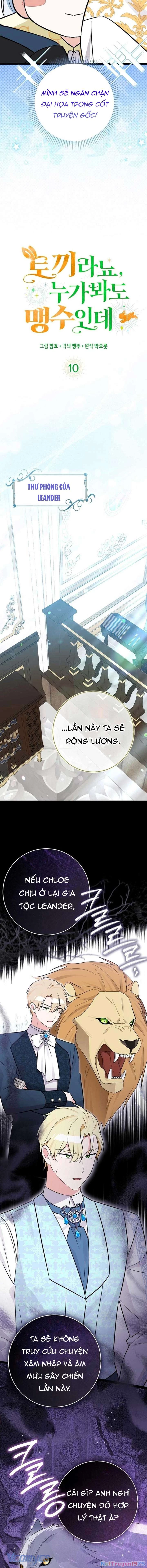 Thỏ Á? Rõ Ràng Là Mãnh Thú Cơ Mà! Chapter 10 - 5