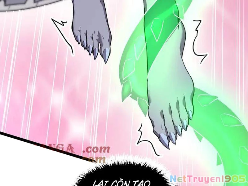 Hệ Thống Của Ta Thật Đứng Đắn Chapter 57 - 43