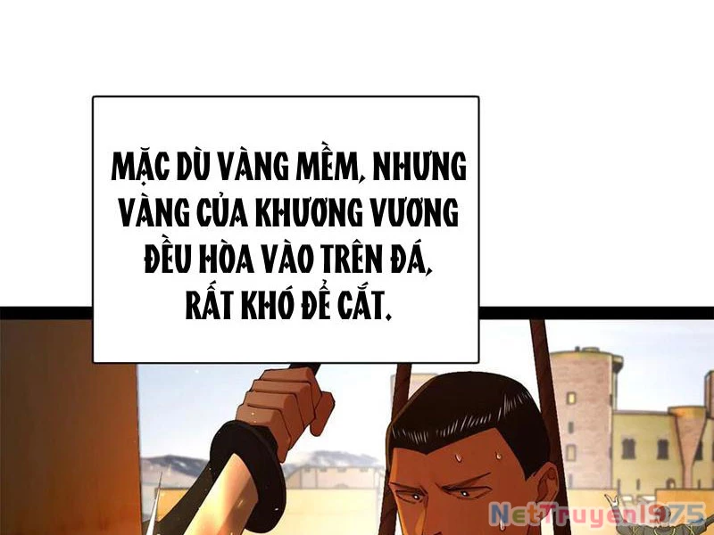 Chàng Rể Mạnh Nhất Lịch Sử Chapter 295 - 13