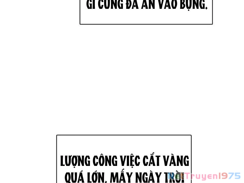 Chàng Rể Mạnh Nhất Lịch Sử Chapter 295 - 50