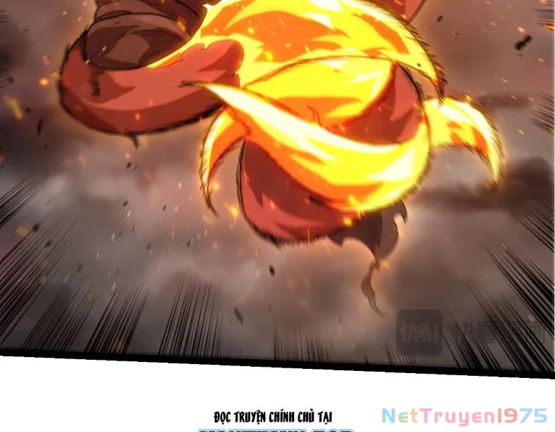 Chuyển Sinh Thành Liễu Đột Biến Chapter 367 - Trang 2
