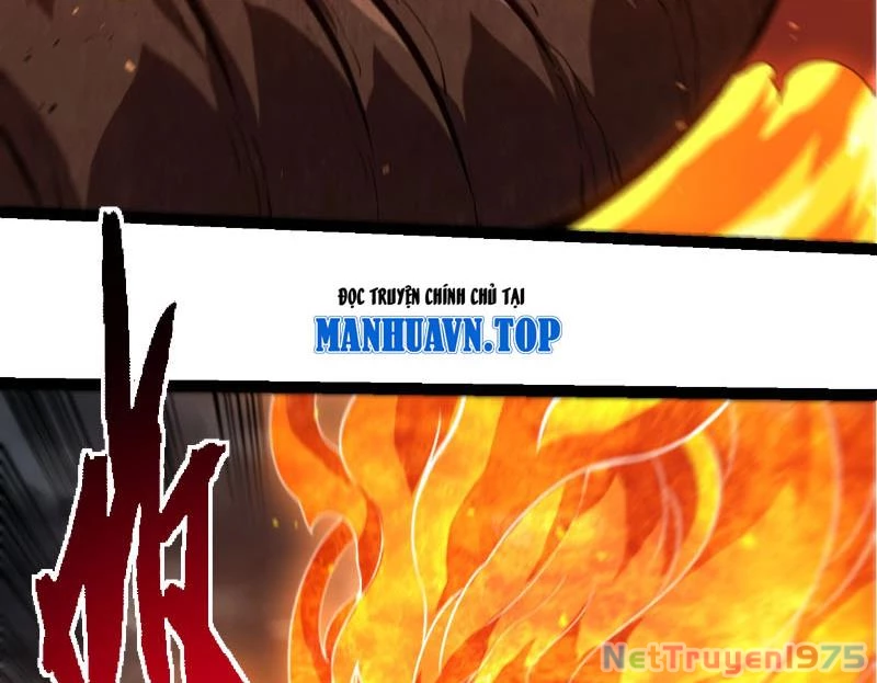 Chuyển Sinh Thành Liễu Đột Biến Chapter 367 - Trang 2