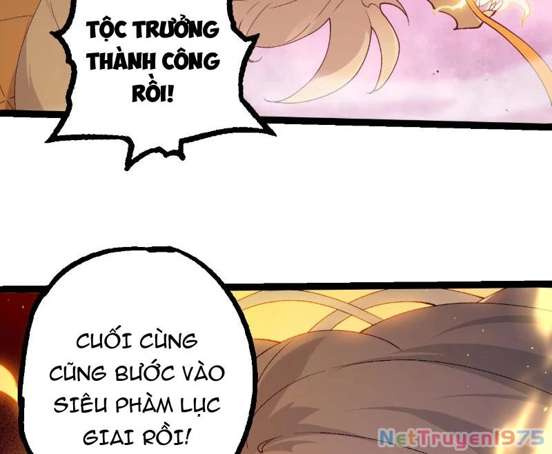 Chuyển Sinh Thành Liễu Đột Biến Chapter 369 - Trang 2