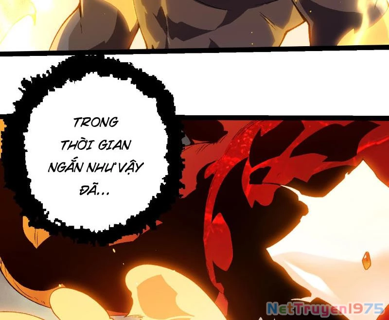 Chuyển Sinh Thành Liễu Đột Biến Chapter 369 - Trang 2