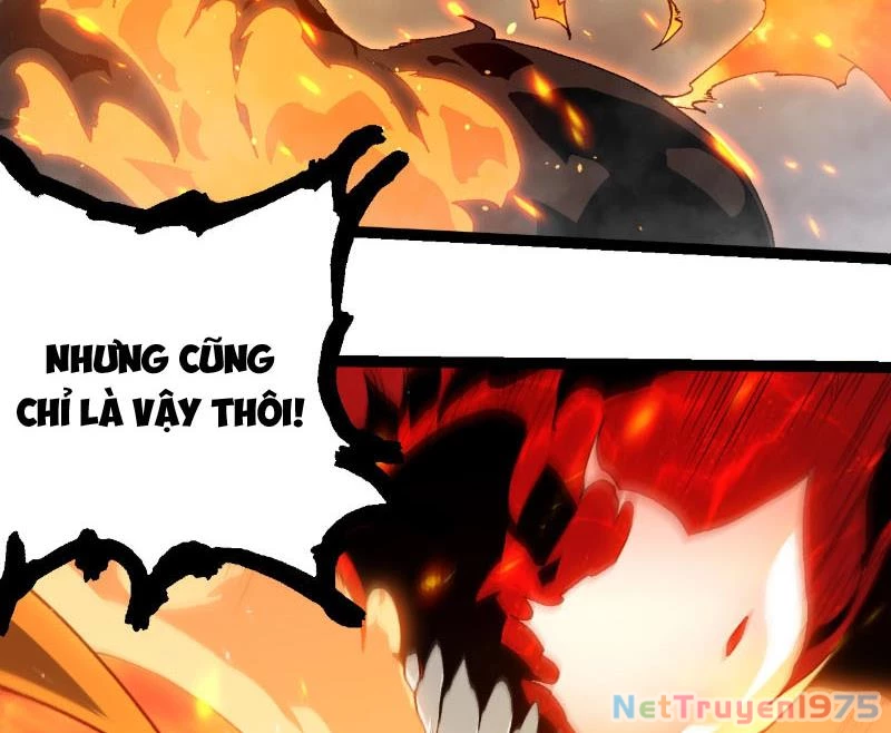 Chuyển Sinh Thành Liễu Đột Biến Chapter 369 - Trang 2