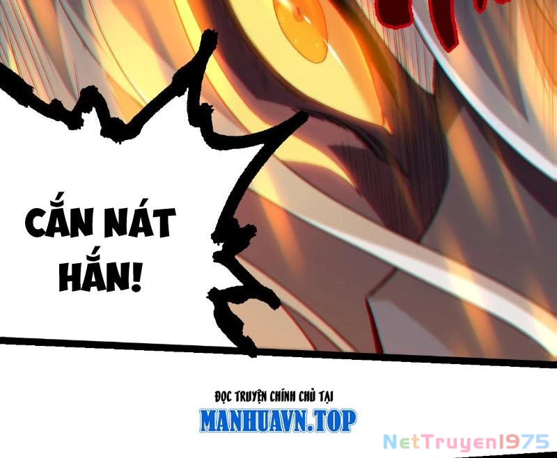 Chuyển Sinh Thành Liễu Đột Biến Chapter 369 - Trang 2