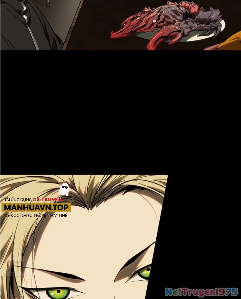 Đại Tượng Vô Hình Chapter 497 - Trang 2