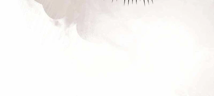Kẻ Thống Trị Kịch Bản Chapter 24 - 38