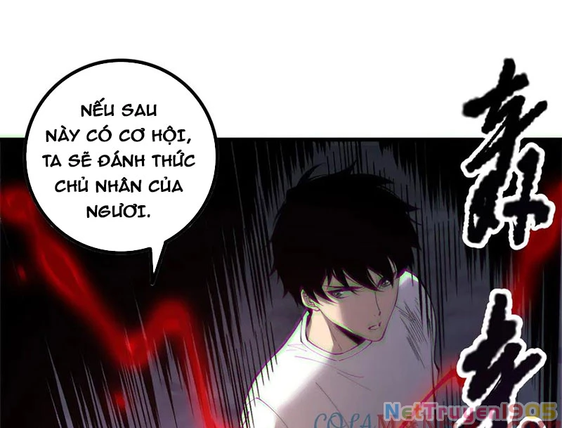 Thảm Họa Tử Linh Sư Chapter 176 - 13