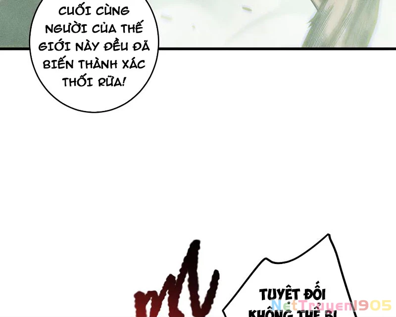 Thảm Họa Tử Linh Sư Chapter 177 - 39