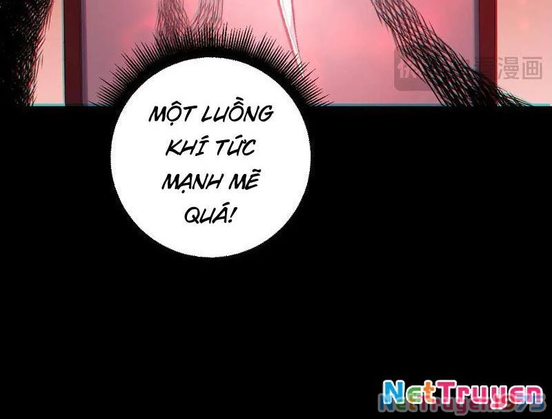 Ta Là Chúa Tể Trùng Độc Chapter 57 - Trang 2