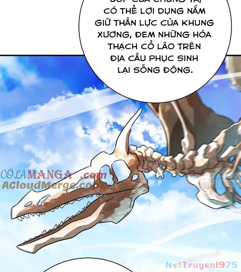 Vĩnh sinh đi chết đi! Chapter 16 - Trang 2