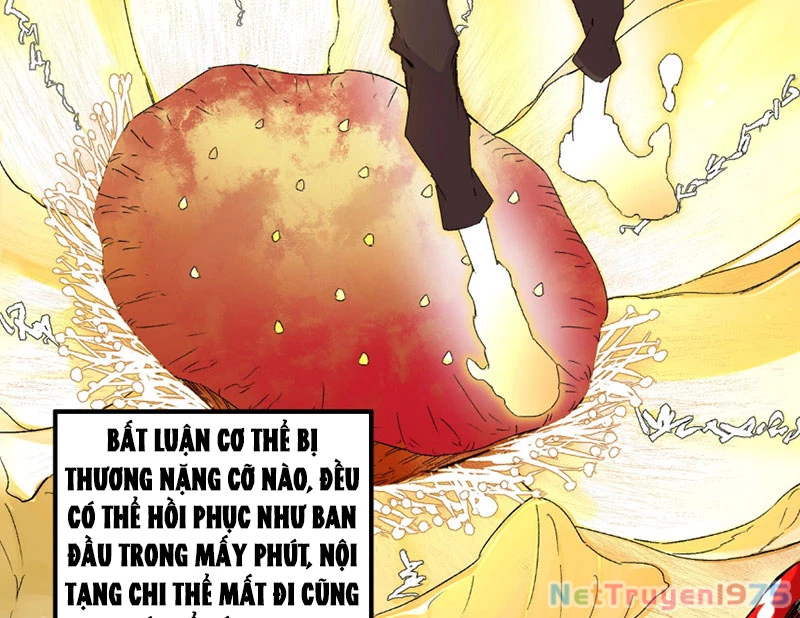 Cấm Chú Sư Mạnh Nhất Lịch Sử Chapter 1 - 53