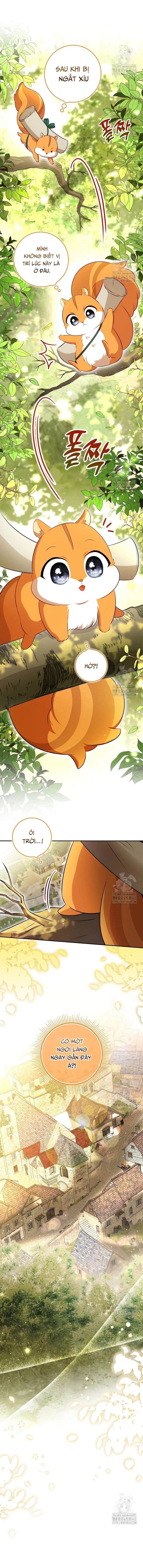 Sóc Con Tài Năng Chapter 106 - 2