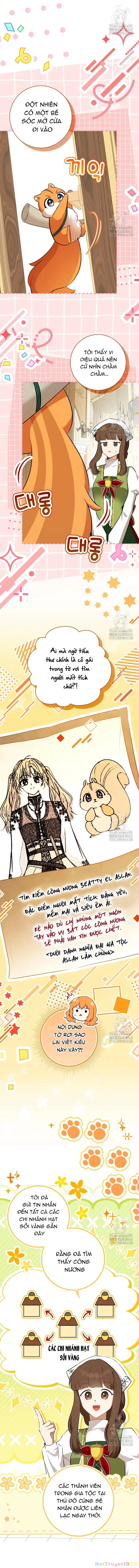Sóc Con Tài Năng Chapter 106 - 5
