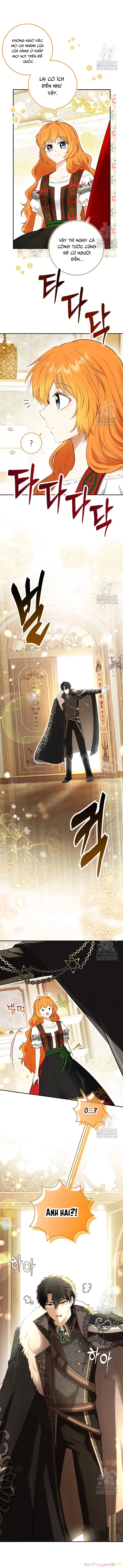 Sóc Con Tài Năng Chapter 106 - 6