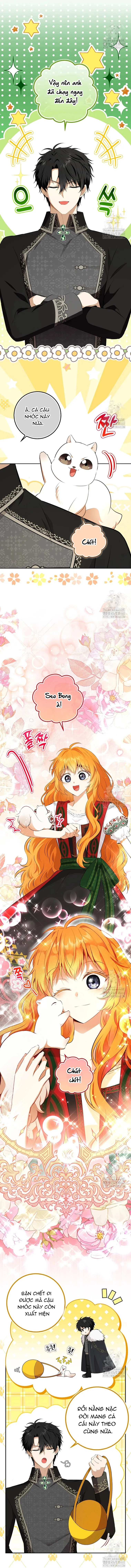 Sóc Con Tài Năng Chapter 106 - 11