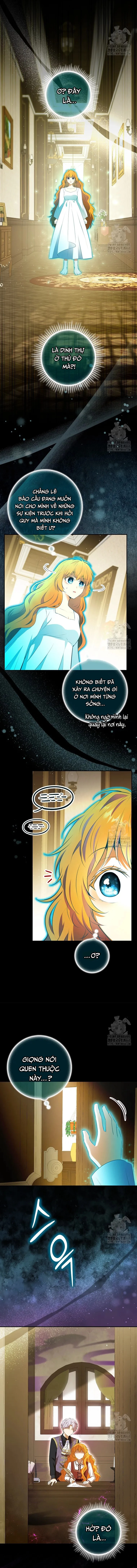 Sóc Con Tài Năng Chapter 106 - 14