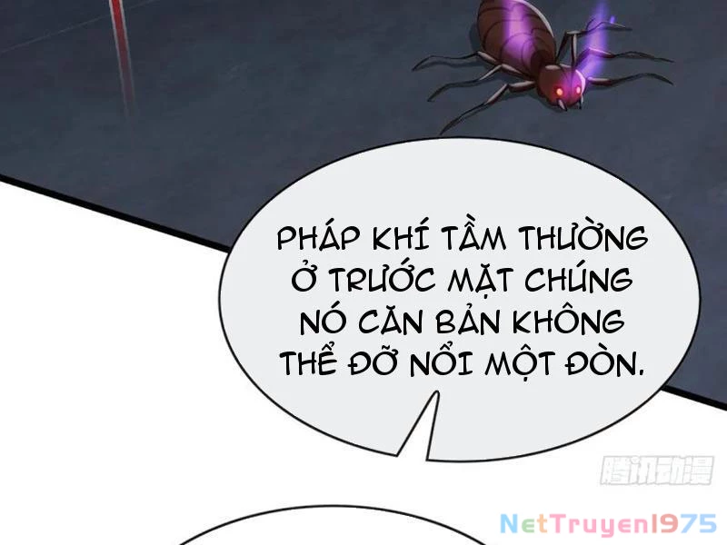 Đại Lão Xuống Núi: Bắt Đầu Từ Việc Trở Thành Thư Ký Chapter 101 - 73