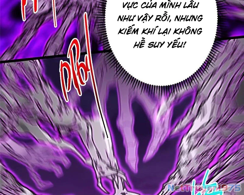 Chưởng Môn Khiêm Tốn Chút Chapter 497 - 50