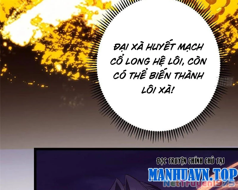 Chưởng Môn Khiêm Tốn Chút Chapter 497 - 96