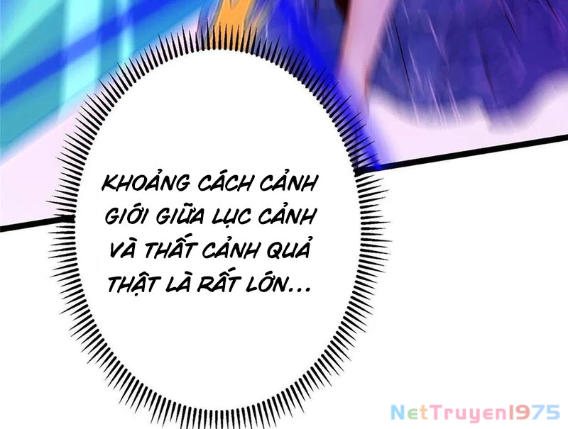Chưởng Môn Khiêm Tốn Chút Chapter 498 - Trang 2