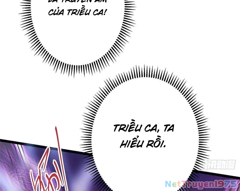 Chưởng Môn Khiêm Tốn Chút Chapter 498 - Trang 2