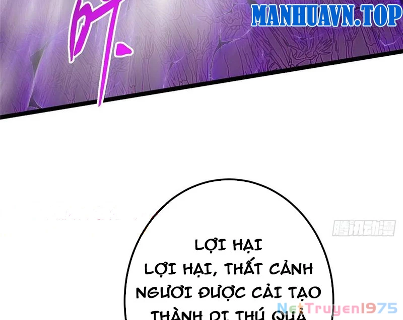 Chưởng Môn Khiêm Tốn Chút Chapter 498 - Trang 2