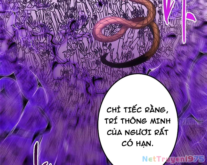 Chưởng Môn Khiêm Tốn Chút Chapter 498 - Trang 2