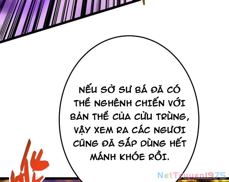 Chưởng Môn Khiêm Tốn Chút Chapter 498 - Trang 2