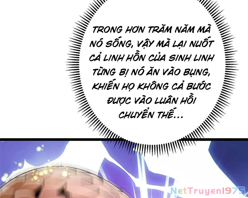 Chưởng Môn Khiêm Tốn Chút Chapter 498 - Trang 2