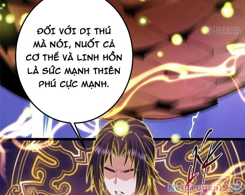 Chưởng Môn Khiêm Tốn Chút Chapter 498 - Trang 2