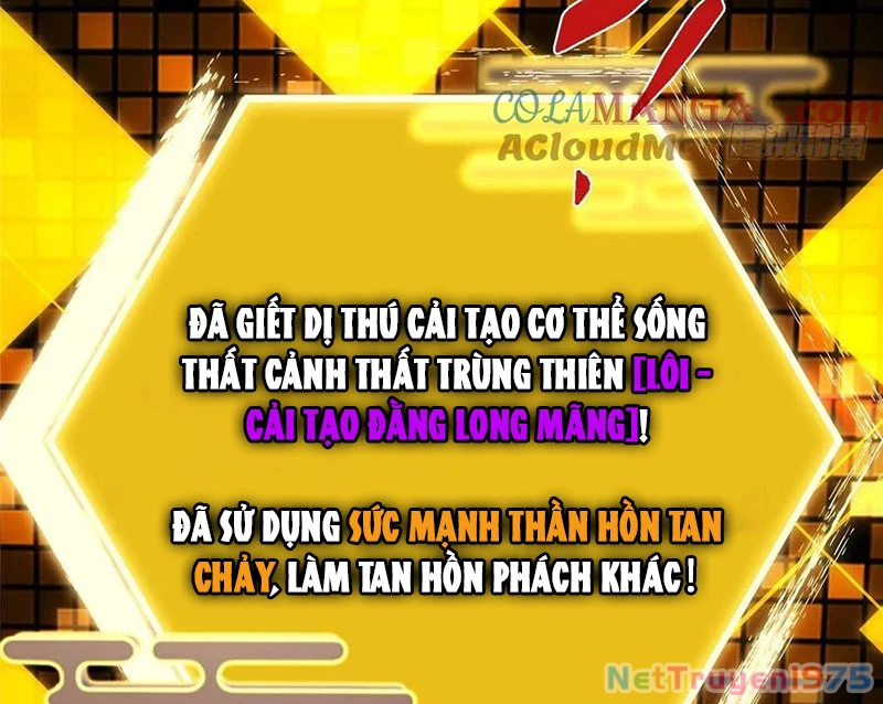 Chưởng Môn Khiêm Tốn Chút Chapter 498 - Trang 2