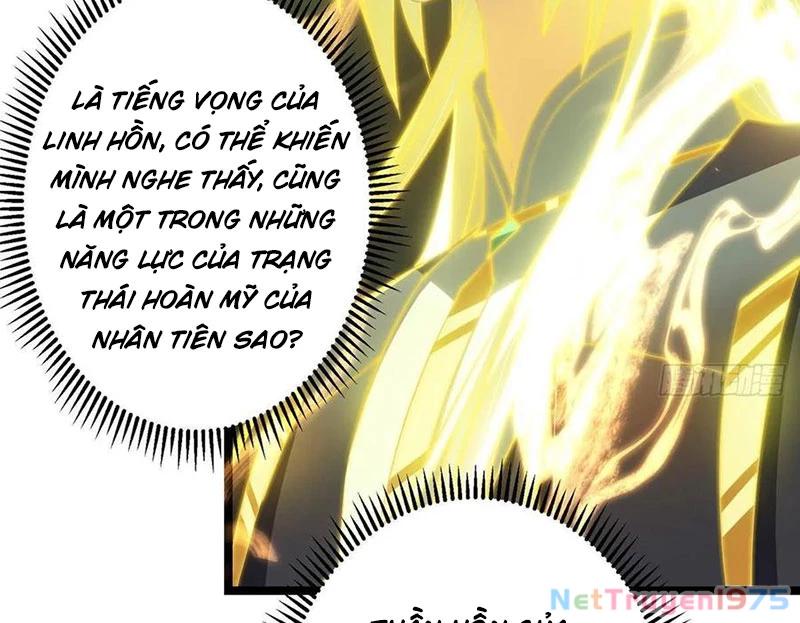 Chưởng Môn Khiêm Tốn Chút Chapter 498 - Trang 2
