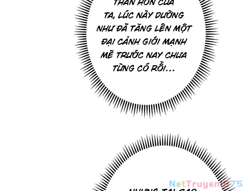 Chưởng Môn Khiêm Tốn Chút Chapter 498 - Trang 2