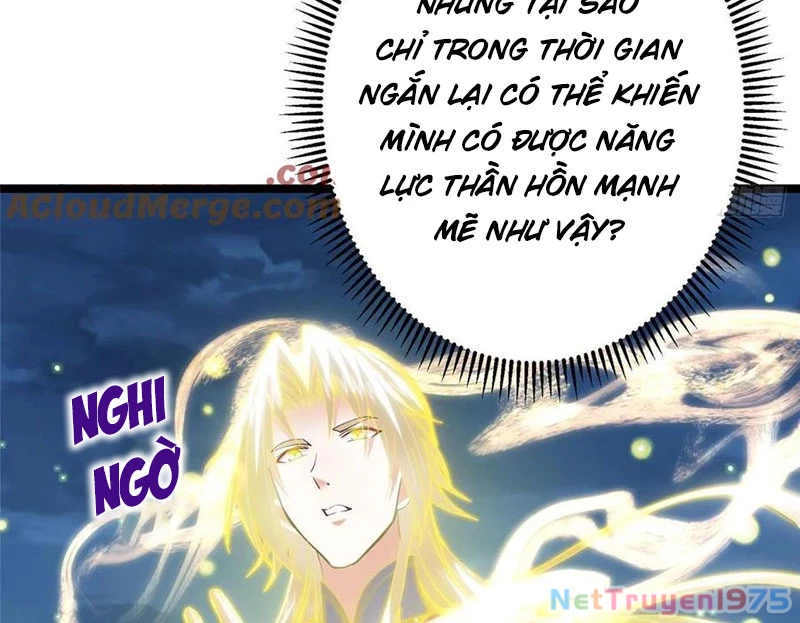 Chưởng Môn Khiêm Tốn Chút Chapter 498 - Trang 2