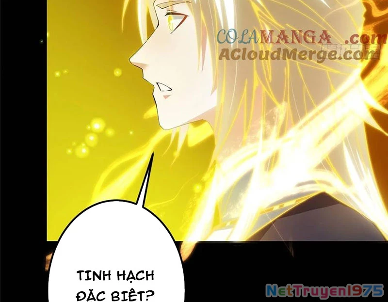 Chưởng Môn Khiêm Tốn Chút Chapter 498 - Trang 2